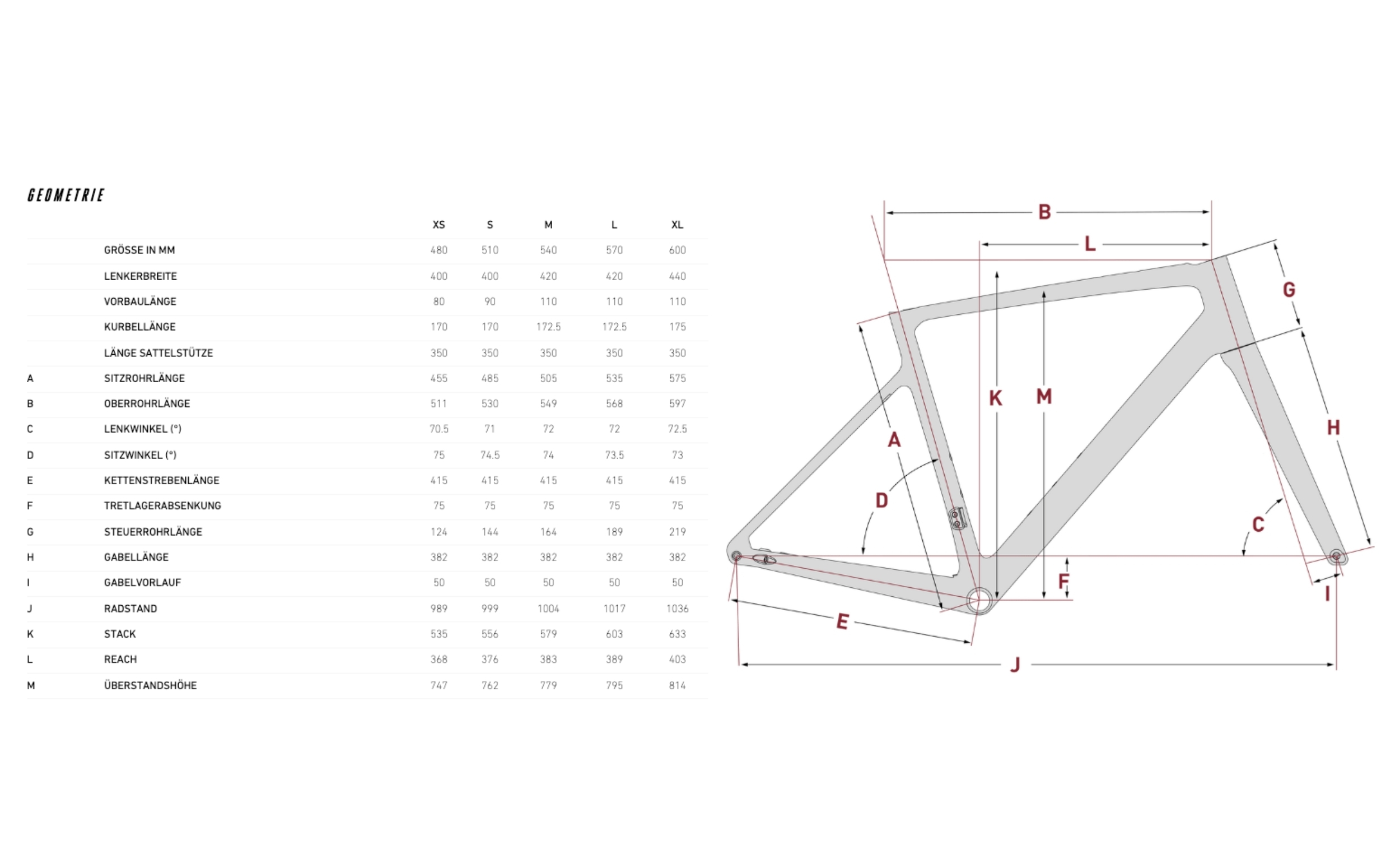 Focus Paralane 8.8 Geometrie