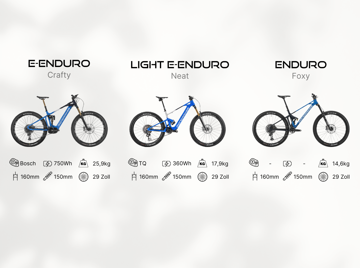 E-Enduro vs Light E-Enduro vs Enduro mit Eigenschaften