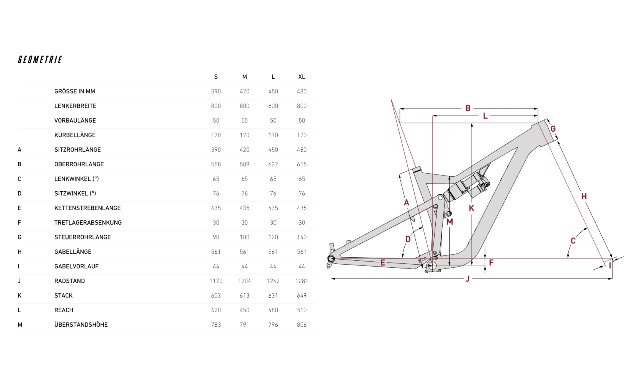 Focus Jam 8.8 Geometrie