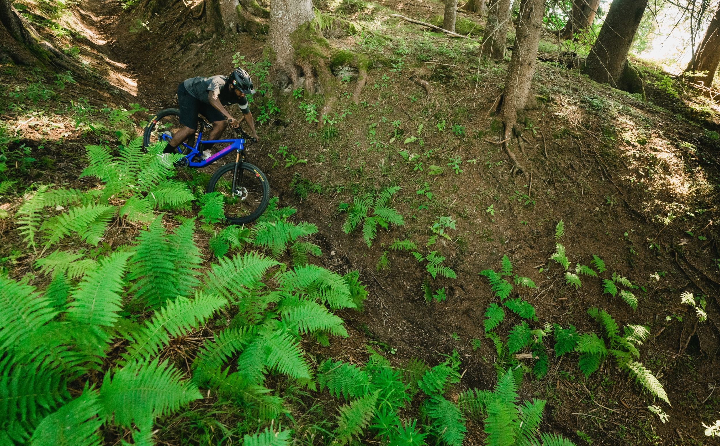 Santa Cruz Tallboy 5 Carbon CC X01 AXS RSV Actionshot