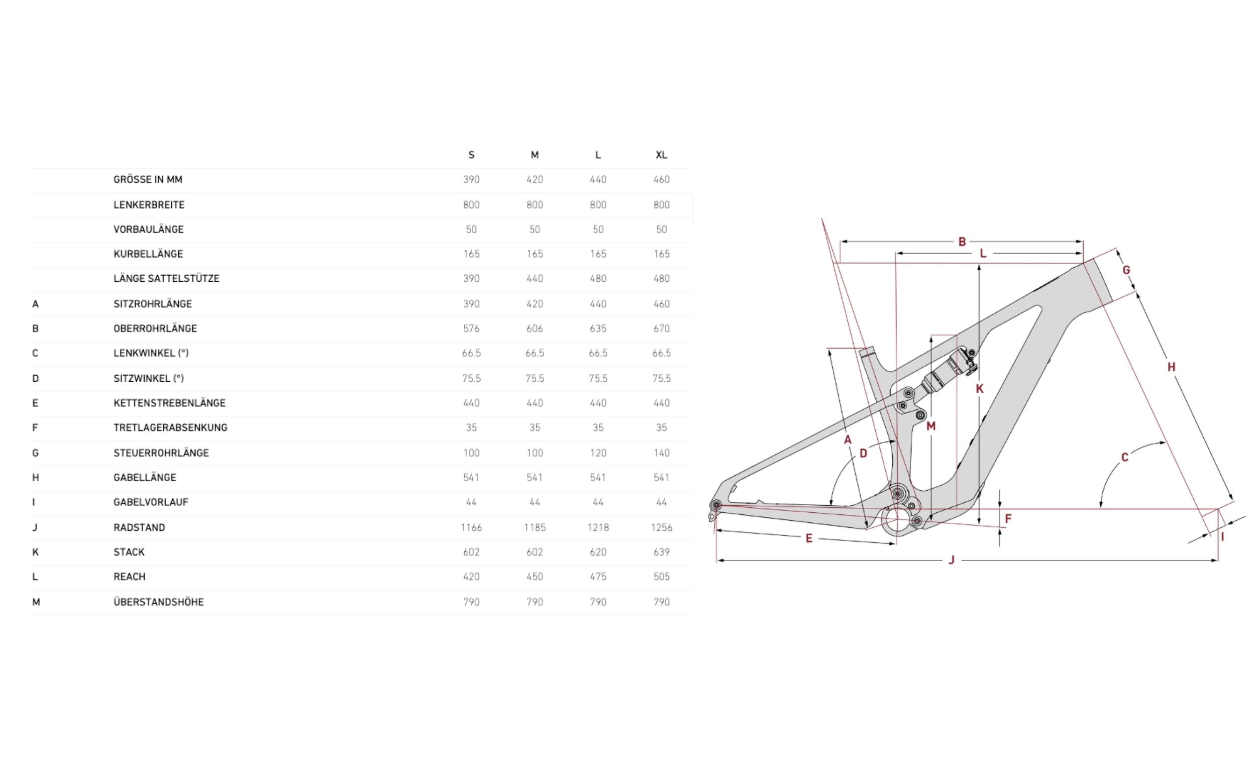 Focus VAM2 SL 9.9 Fazua Ride60 430Wh 2024 Geometrie